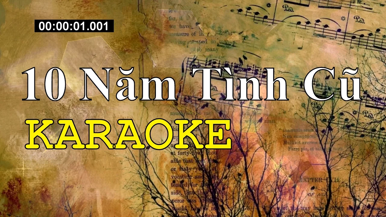 Mười Năm Tình Cũ - Karaoke Beat Chuẩn