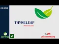 OKAY JAVA THYMELEAF INTRODUCTION SPRINGBOOT THYMELEAF WEB THYMELEAF TEMPLATE ENGINE