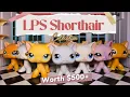 My Huge LPS Shorthair Collection Worth 500