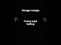 Download Lagu wenggo wenggo#lyrics #laguviral #music #wenggowenggo