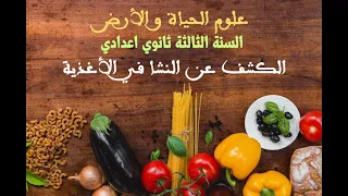 الكشف عن النشا 