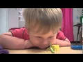 Praying Mantis Attacks Baby s Face