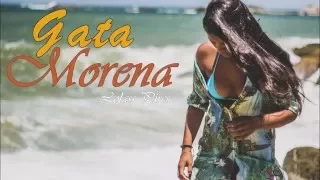 Download Gata Morena - Lolass Pires MP3
