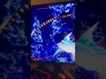 BUG FIX Fight Scaly Pete