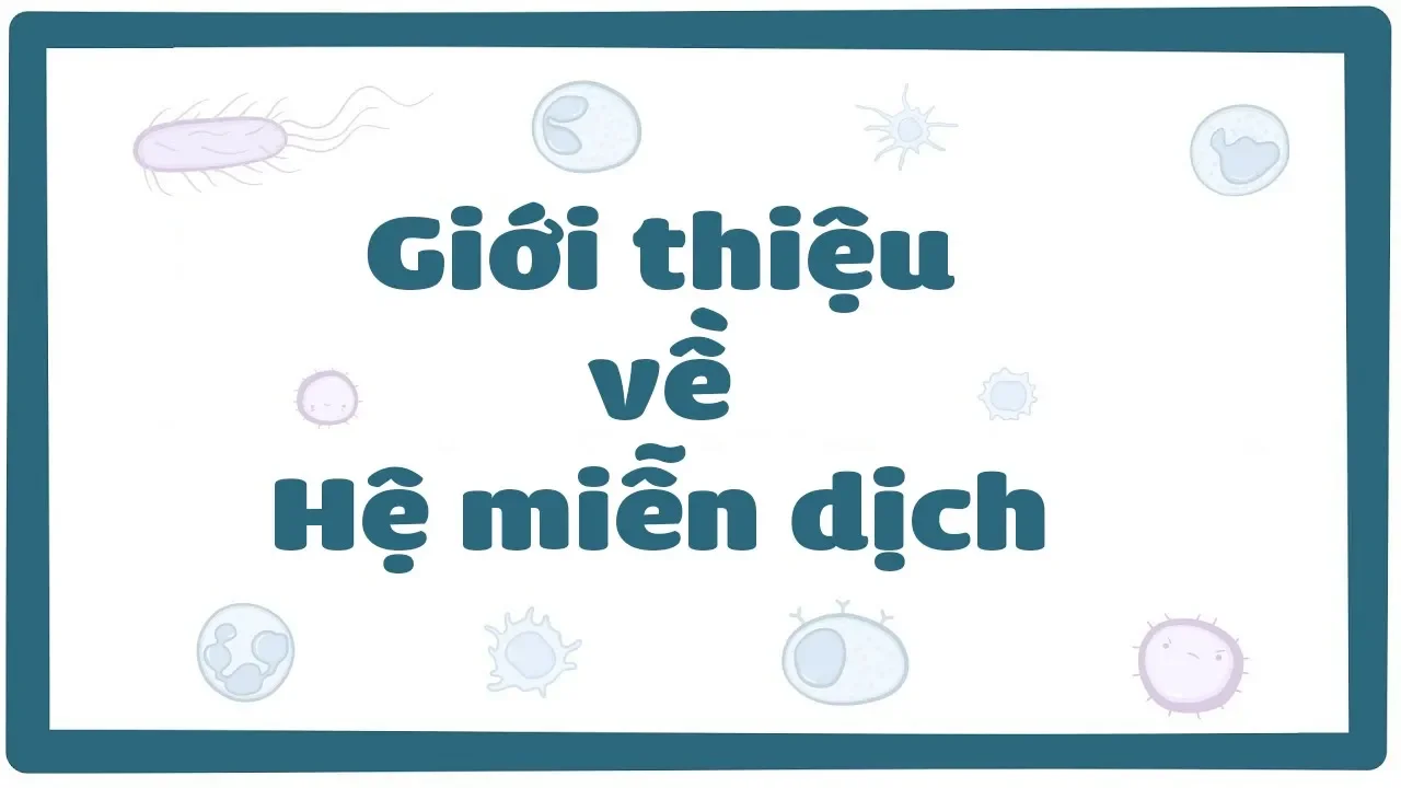 Outline Video Giới thiệu hệ miễn dịch