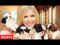 PUPPIES