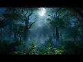 Download Lagu Echoes OF THE VALLEY... Relaxing meditation sleep for healing