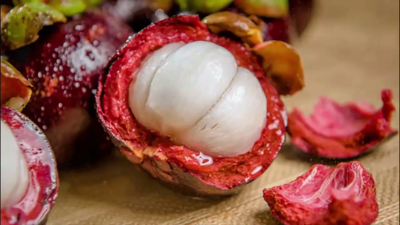 Hey guys I hope everything is fine to day Today i am going to make a coconut bonsai So yo can follow. 