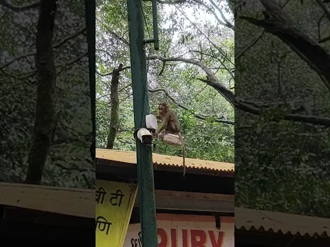 location 👉 matheran
