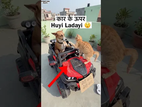 New Car Ke Upar Huyi लड़ाई