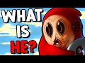What Is Behind Shy Guys MASK - Game Mysteries