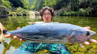 【8月オススメ】なんで川にカツオが・・・？