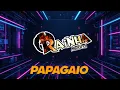 Download Lagu BANDA RAINHA MUSICAL , PAPAGAIO
