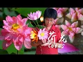 Download Lagu 百亩荷花盛开粉艳，做荷花酥、荷花冰碗和台灯，香甜冰爽美不胜收｜lotus【闽湖阿嬤Fujian Grandma】