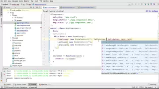 12 Angular 4 Tutorial Form Validations