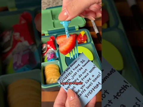 My 100th lunchbox video calls for soup & depressed giraffes! 🦒