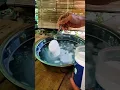 Download Lagu Menghilangkan noda di baju putih menggunakan Cloth Stain Remover #tips #diy #mastukang #lifehacks