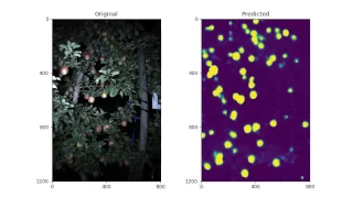 Deep Learning Fruit Segmentation - Apples
