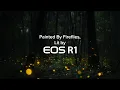 Download Lagu Painted with Fireflies, Lit by the Canon EOS R1 | Captured by Prakash Ramakrishnan