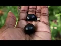 Fruit of God Health Benefits Java Ribena