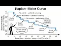 Kaplan Meier Curve Explained Visually Survival Analysis Made Easy