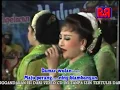 Download Lagu Mulyo Budoyo - Rri, Damarwulan, Grajagan Banyuwangi | Dangdut (Official Music Video)
