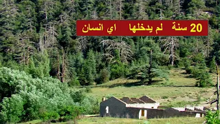 دخلنا اخطر غابة في الجزائر لم تطاها قدم منذ عشرين سنة 