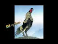 Download Lagu Dj ayam berkokok