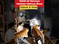 Download Lagu Tamunya Harimau Besar