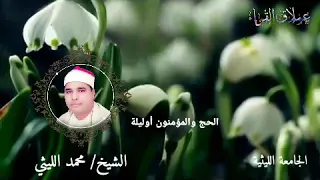 رائعة الحج والمؤمنون أوليلة الشيخ محمد الليثي 