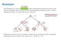IP Algorithms 005