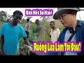 Download Lagu Gia Đình Lêu bán hết vườn Su Hào||Nhà Antonio làm ruộng Trồng Lúa như thế nào|Cuộc Sống Châu Phi