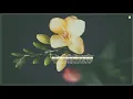 ♫ [Vietsub] Freesia - BolBBalgan4 | 프리지아 - 볼빨간사춘기