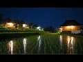 Download Lagu Suara Katak dan Serangga di Malam Hari di Sawah Diiringi Hujan Ringan