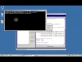 Dynamic Analysis of Fortran programs using plusFORT