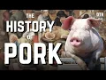 Bacon, Barbecue, and Religious Bans: The 10,000 Year Saga of Pork