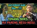 Download Lagu Sinden Nggleleng Pak Seno Di Ndes Ndes ne....