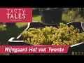 Lagu WIJNGAARD HOF VAN TWENTE (Bentelo) • Twentse wijn met beschermde oorsprongsbenaming • Tasty Tales