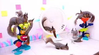 Funny Moments of Animals Eating & Their Authentic Nature Sounds