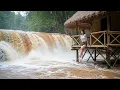 Download Lagu 7 Days Survival Alone: Building a Bamboo Hut in Flood-Prone Ravine
