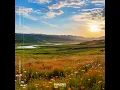Divane Aşık Gibi
