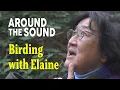 Around The Sound - Elaine Chuang