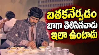 బతకనేర్వడం బాగా తెలిసినవాడు ఇలా ఉంటాడు - Mohan Babu, Sobhan Babu Ultimate Hotel Comedy Scenes