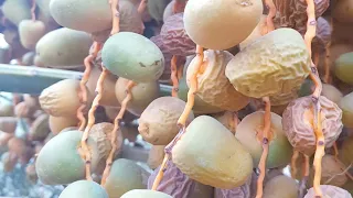 سؤال وجواب عن ذبول وموت ثمار النخيل 