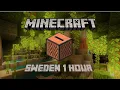Download Lagu Minecraft Sweden C418 | 1 hour