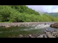 The Green - Alive Film Series: Tahiti