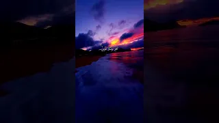 سورة التغابن بصوت اسلام صبحي القرآن الكريم سورة التغابن 