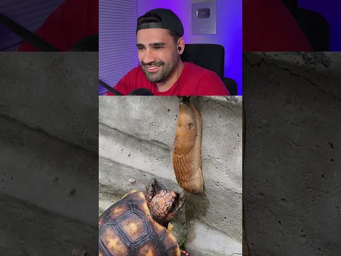 Quando a fome é maior que o tamanho