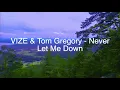VIZE & Tom Gregory - Never Let Me Down (Lyrics)    music lyrics.