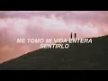 Alok, Bruno Martini, Zeeba - Never Let Me Go (Sub Español)